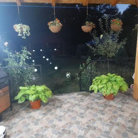 Casa Valea Morilor ξενώνας Eftimie Murgu Εξωτερικό φωτογραφία