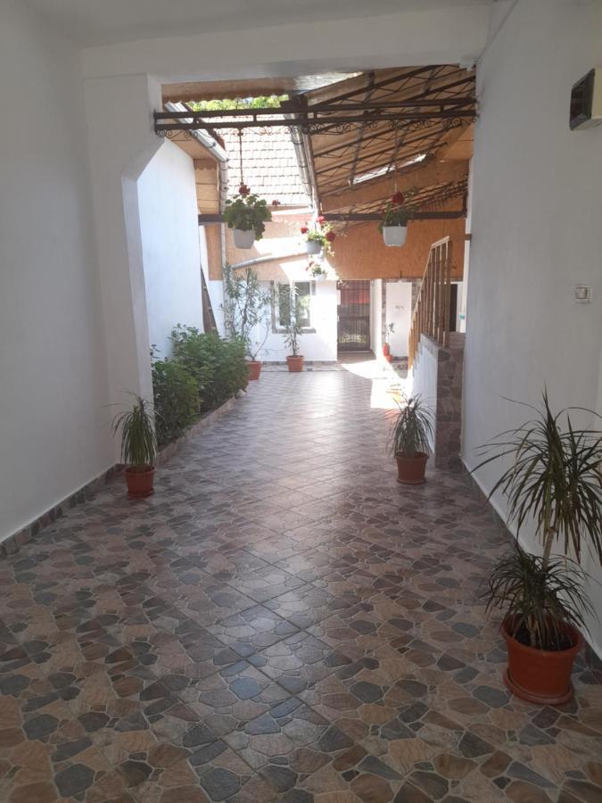 Casa Valea Morilor ξενώνας Eftimie Murgu Εξωτερικό φωτογραφία