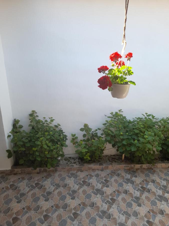 Casa Valea Morilor ξενώνας Eftimie Murgu Εξωτερικό φωτογραφία