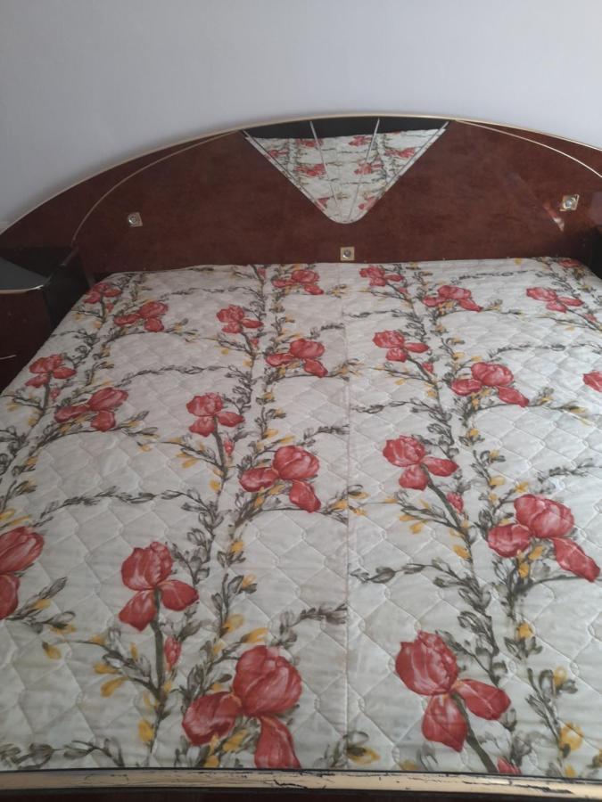 Casa Valea Morilor ξενώνας Eftimie Murgu Εξωτερικό φωτογραφία