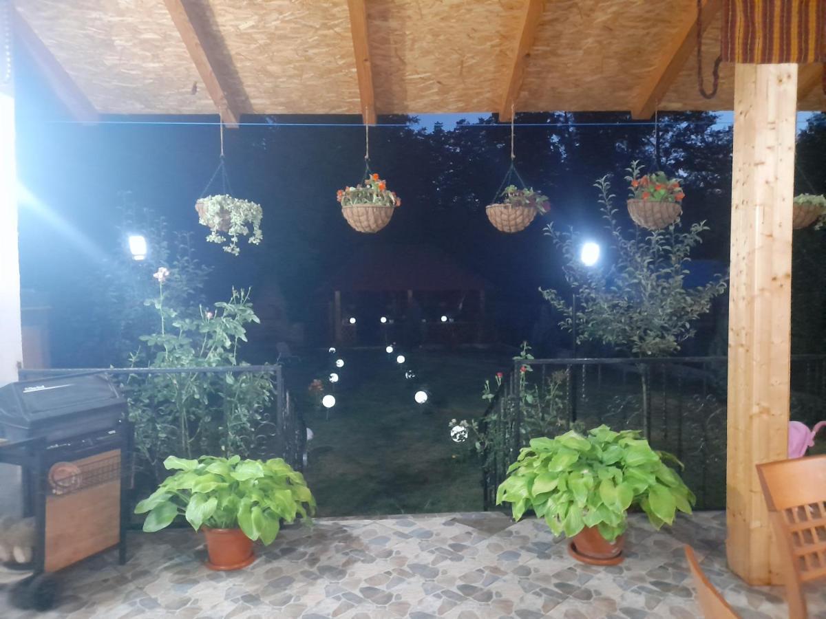 Casa Valea Morilor ξενώνας Eftimie Murgu Εξωτερικό φωτογραφία