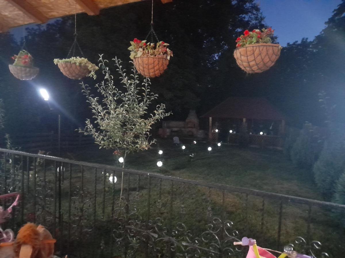 Casa Valea Morilor ξενώνας Eftimie Murgu Εξωτερικό φωτογραφία