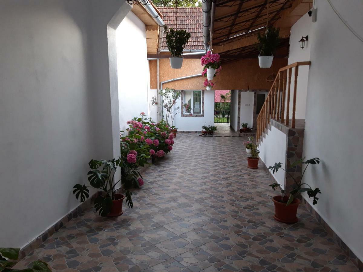 Casa Valea Morilor ξενώνας Eftimie Murgu Εξωτερικό φωτογραφία