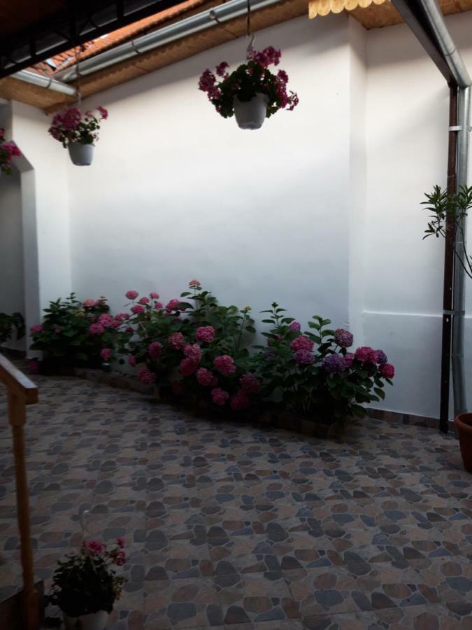 Casa Valea Morilor ξενώνας Eftimie Murgu Εξωτερικό φωτογραφία